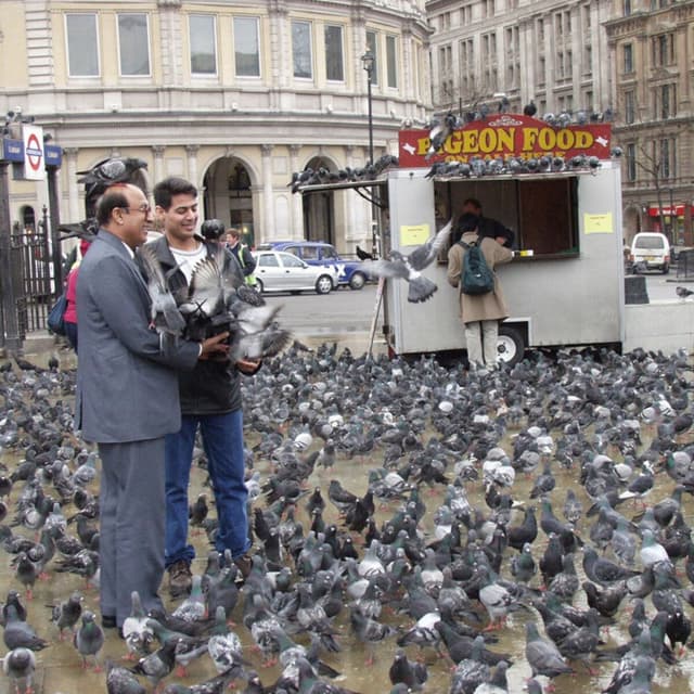 Album cover art for Vanity Publishing