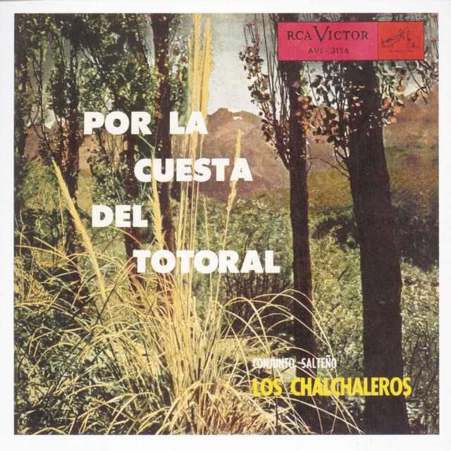 Album cover art for Por la Cuesta del Totoral