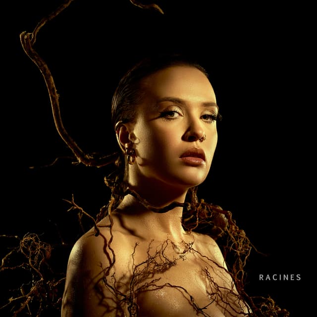 Album cover art for Racines