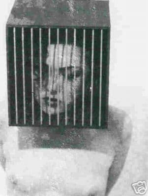 Album cover art for Rose Au Cœur Violet