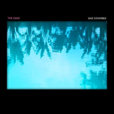 Album cover art for The Oaks