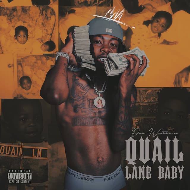 Album cover art for Quail Lane Baby