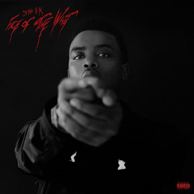 Album cover art for Face of the What