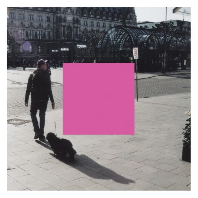 Album cover art for Monty