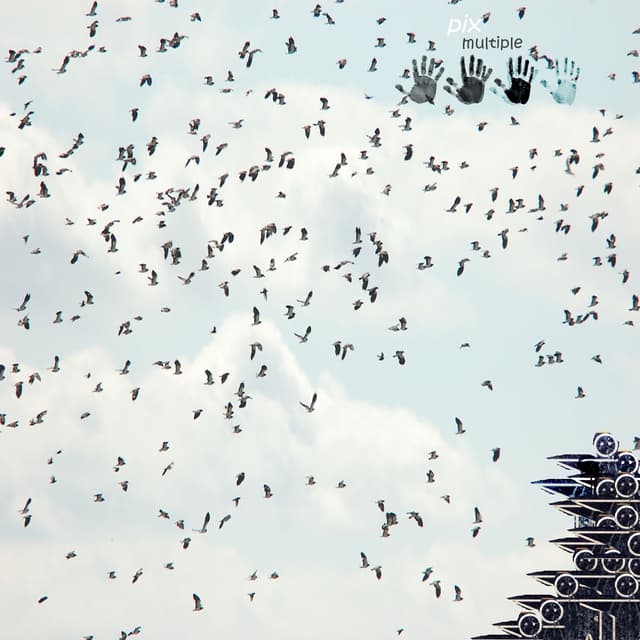 Album cover art for Multiple