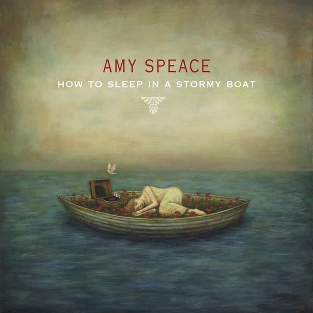 Album cover art for How to Sleep in a Stormy Boat