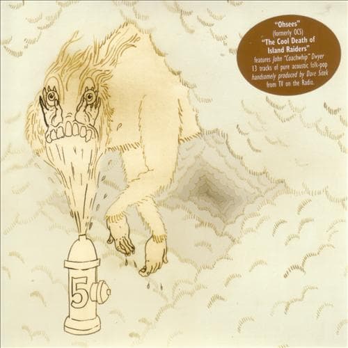 Album cover art for The Cool Death of Island Raiders