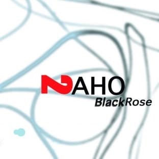 Album cover art for Black Rose