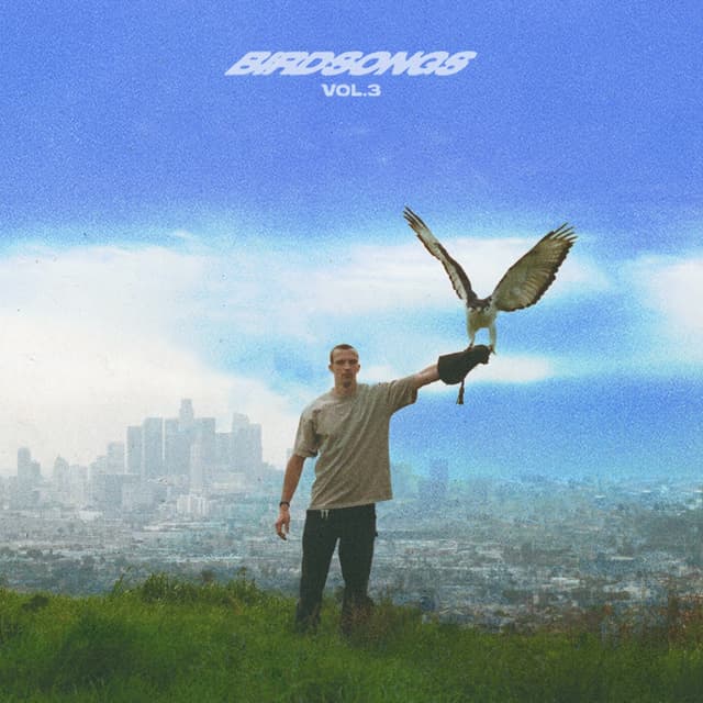 Album cover art for BIRDSONGS, Vol. 3