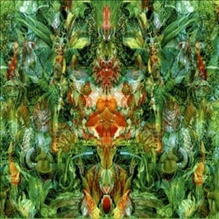 Album cover art for Emerald Aether: Shape Shifting/reconstructions Of Irish Music