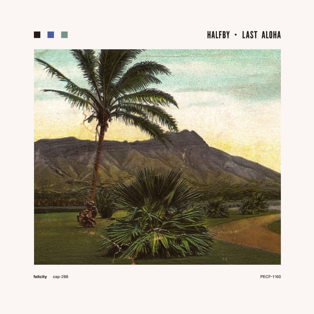 Album cover art for Last Aloha
