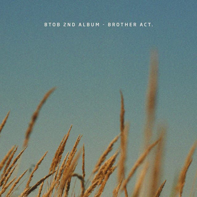 Album cover art for Brother Act.