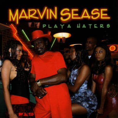 Album cover art for Playa Haters