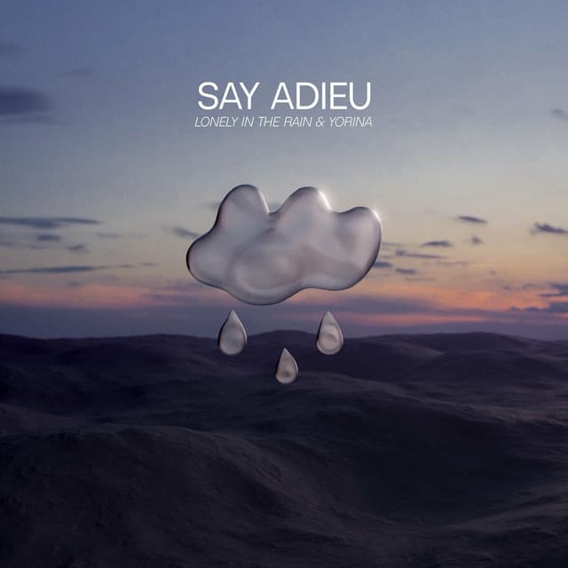 Album cover art for Say Adieu