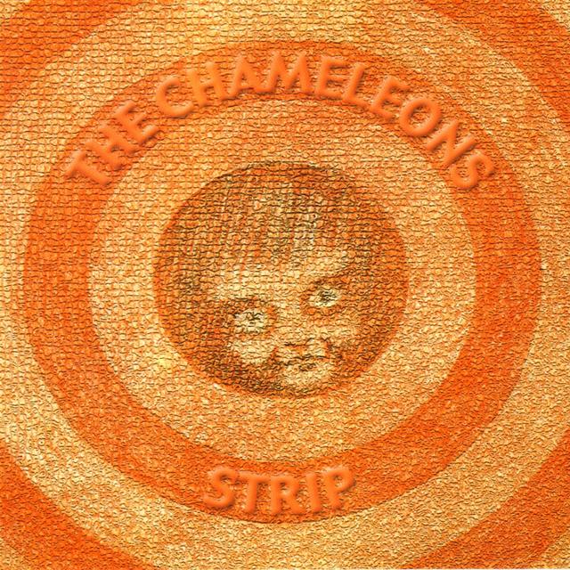 Album cover art for Strip
