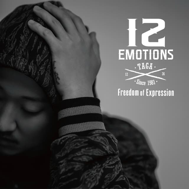 Album cover art for 12 Emotions