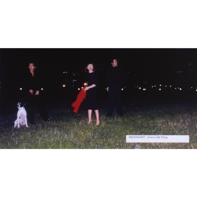 Album cover art for NECESSARY