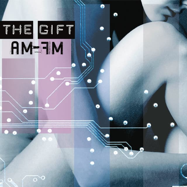 Album cover art for AM-FM