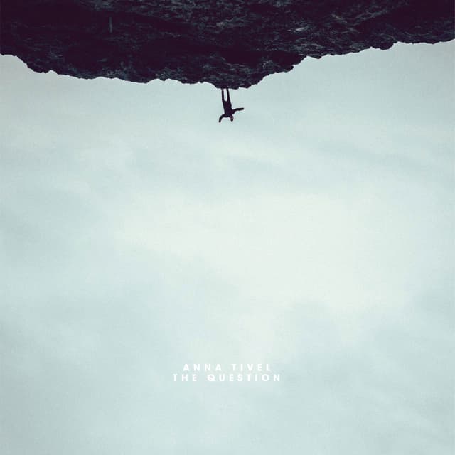 Album cover art for The Question