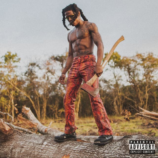 Album cover art for Religion