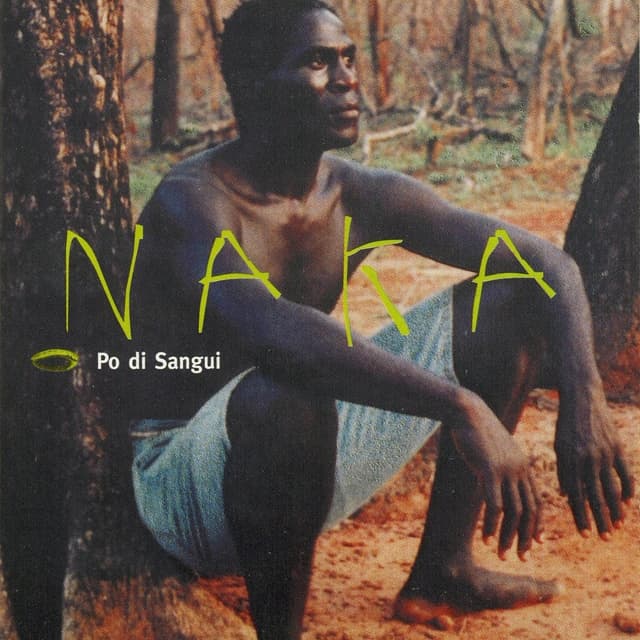 Album cover art for Po Di Sangui