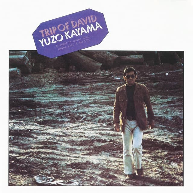 Album cover art for TRIP of DAVID