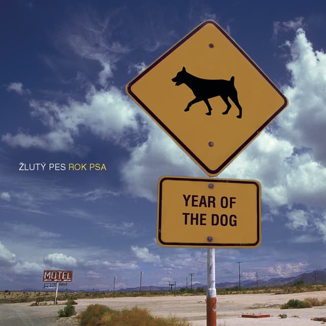 Album cover art for Rok Psa