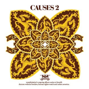 Album cover art for Causes 2