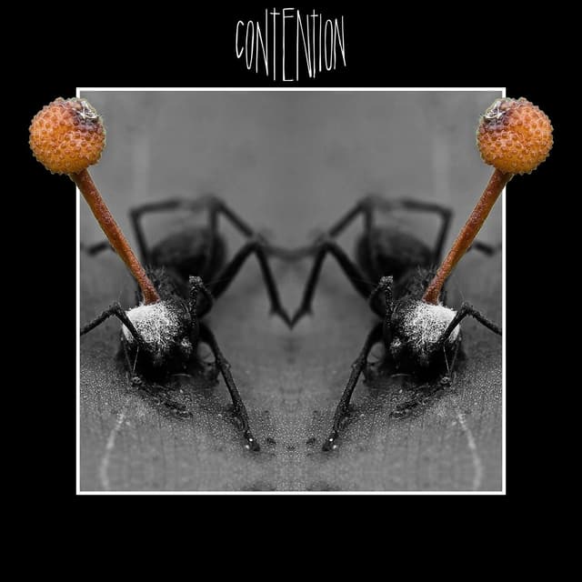 Album cover art for Contention