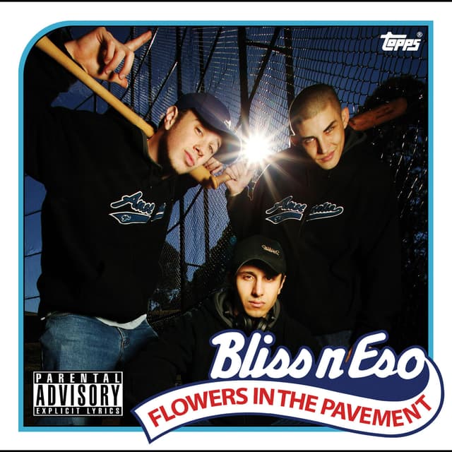 Album cover art for Flowers in the Pavement