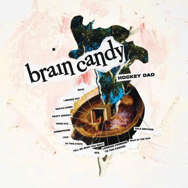 Album cover art for Brain Candy