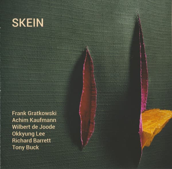 Album cover art for SKEIN