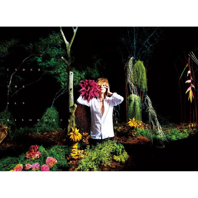 Album cover art for UNDER THE SUN