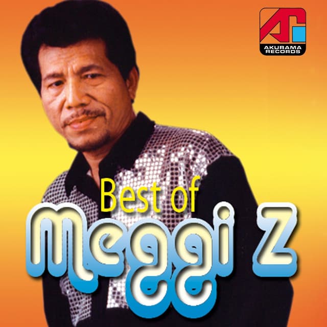 Album cover art for Best of Meggi Z