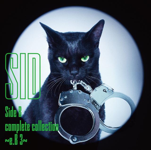 Album cover art for Side B complete collection 〜e.B 3〜