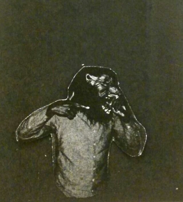 Album cover art for No Health Insurance