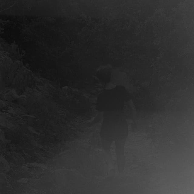 Album cover art for Brûlée