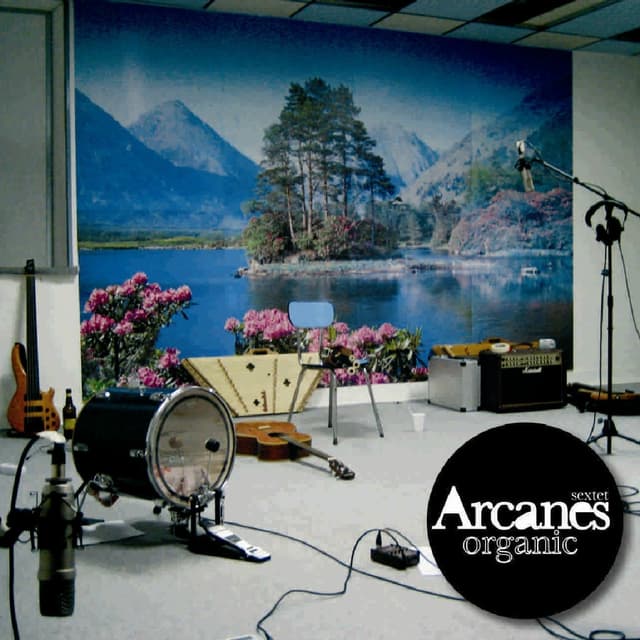 Album cover art for Organic