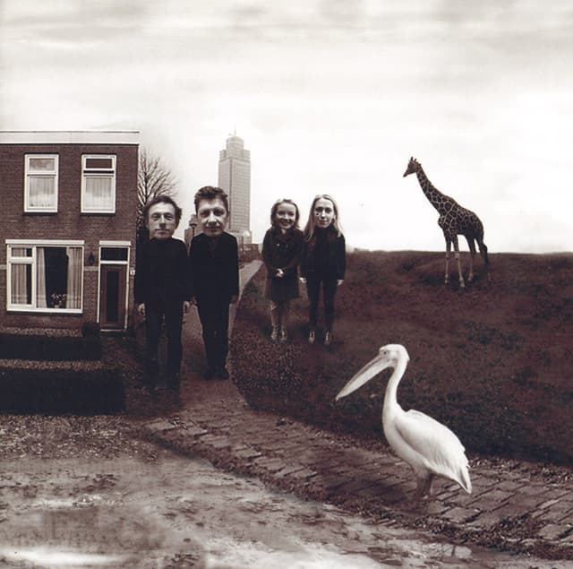 Album cover art for Alankomaat