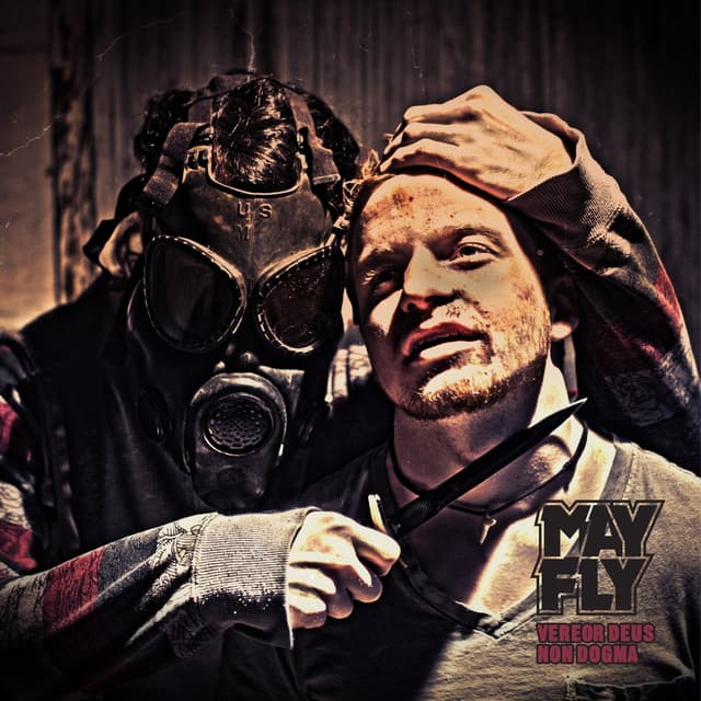 Album cover art for Vereor Deus Non Dogma