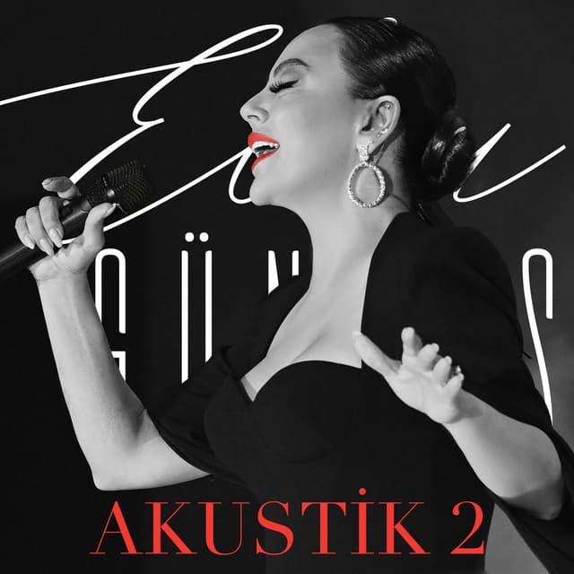 Album cover art for Akustik 2