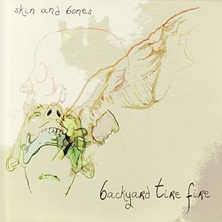 Album cover art for Skin And Bones