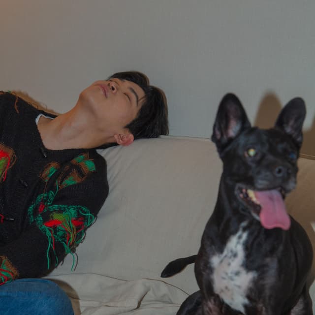 Album cover art for Home Vacation