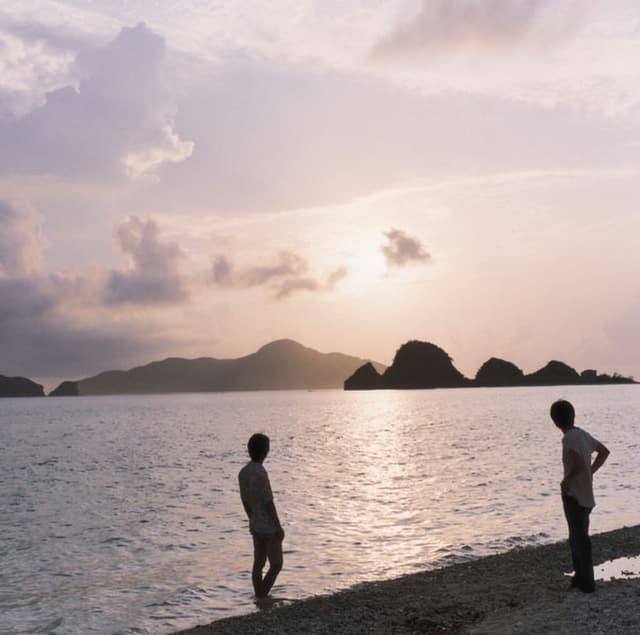 Album cover art for 夢の日々 〜SERIOUS & JOY〜