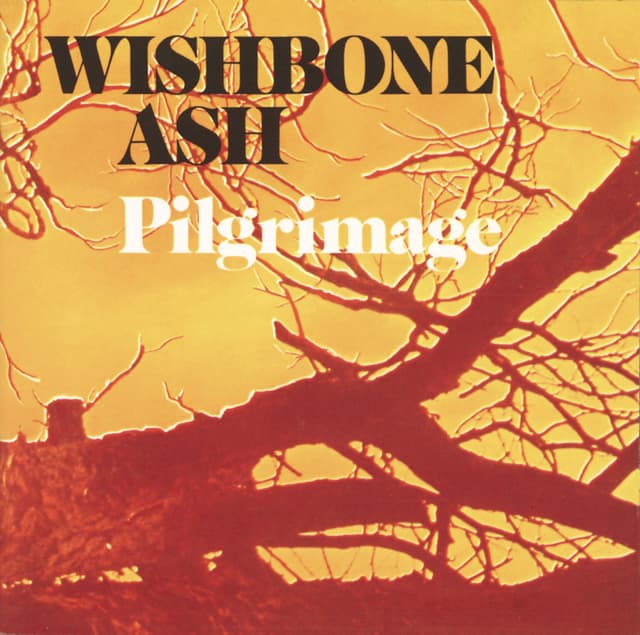 Album cover art for Pilgrimage