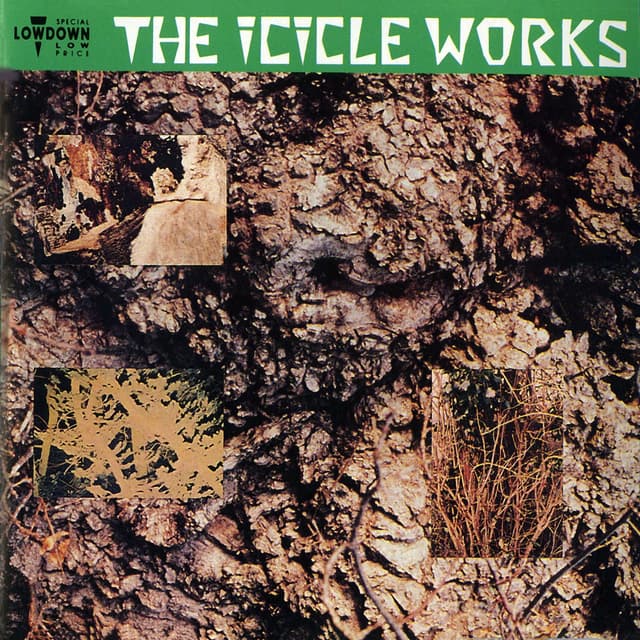 Album cover art for The Icicle Works