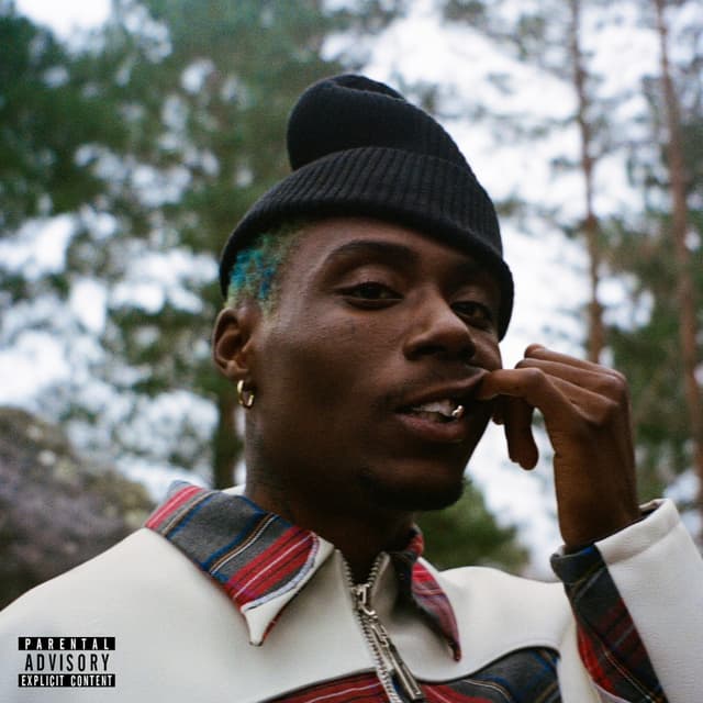 Album cover art for Fils de - Single