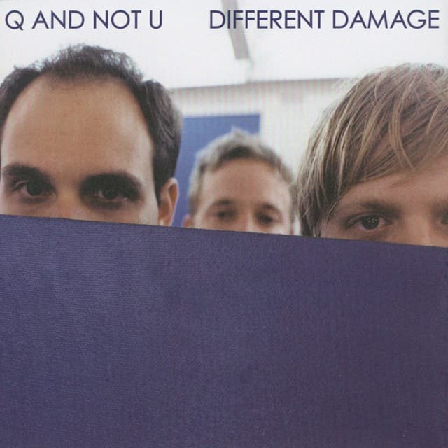 Album cover art for Different Damage