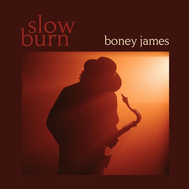 Album cover art for Slow Burn