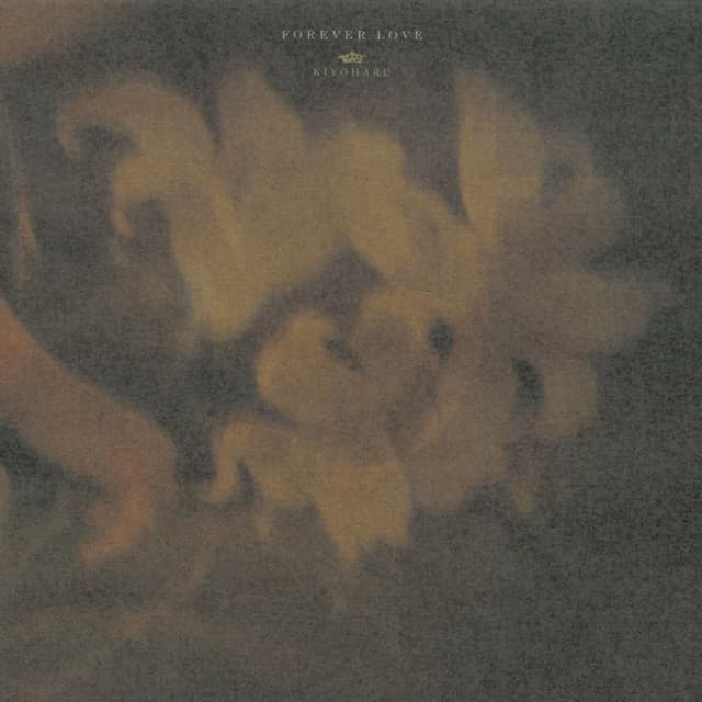 Album cover art for FOREVER LOVE